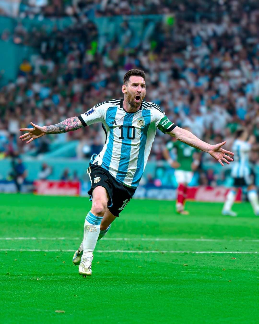 定了基础 定了基础