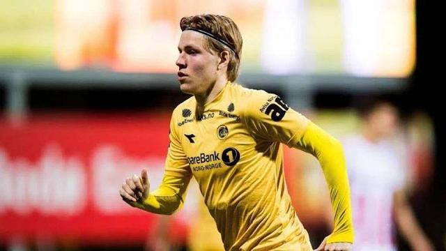 这一安排不 这一安排不